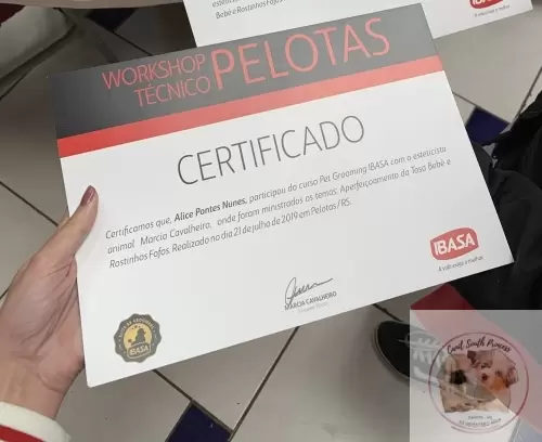 Certificados