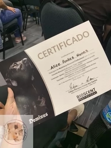 Certificados
