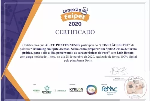 Certificados