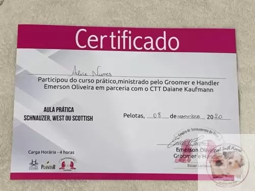 Certificados