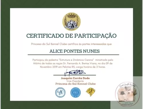 Certificados