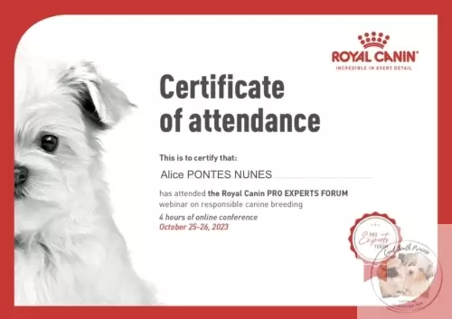 Certificados