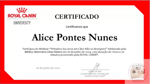 Certificados