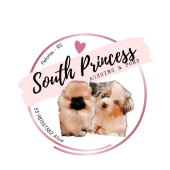South Princess 